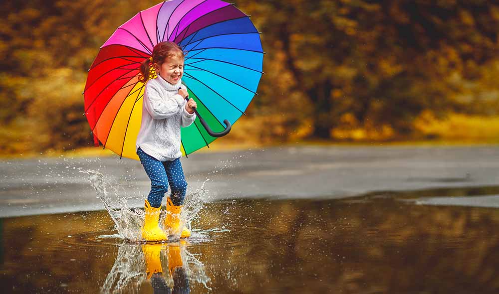 Umbrella Insurance